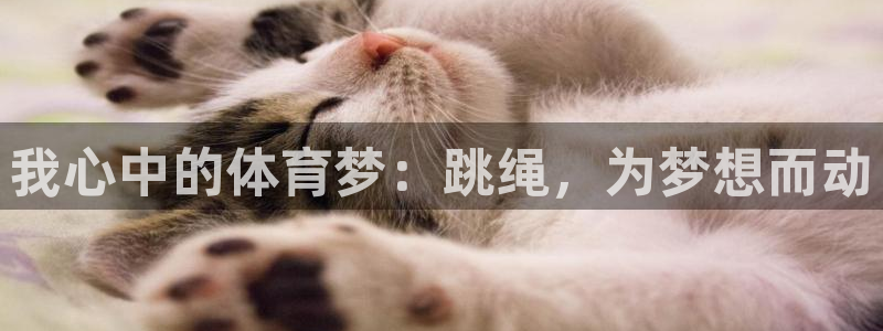 杏悦2平台总代理