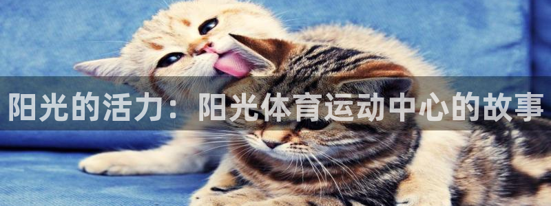 杏悦2零能源集团
