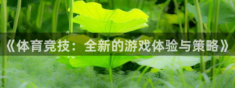 杏悦23平台注册