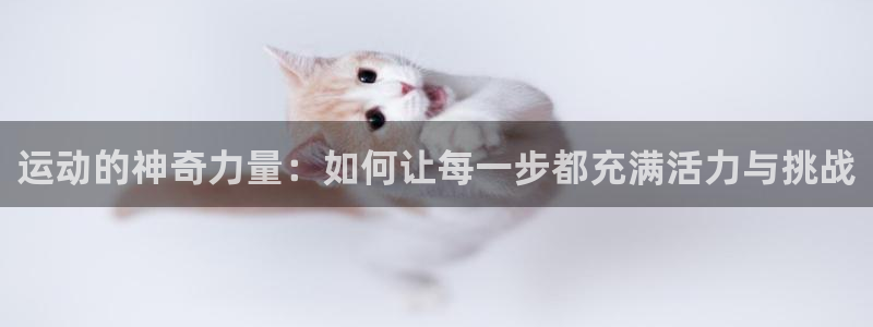 杏悦2体育平台开号链接