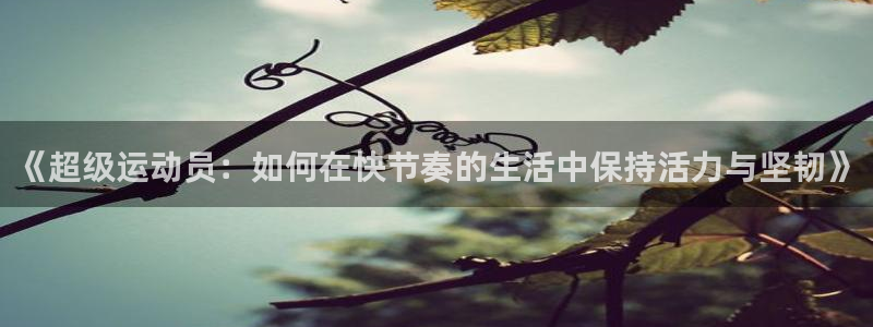 杏悦24平台