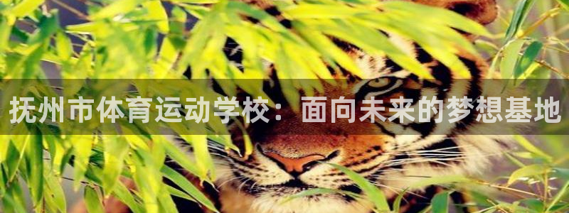 杏悦2代理注册链接