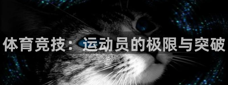 杏悦2体育论坛