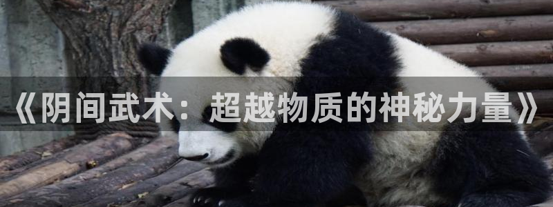 杏悦2代理注册官网入口
