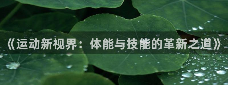 杏悦2体育官网注册