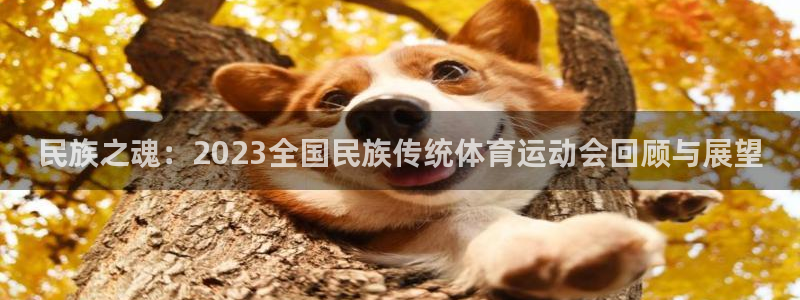 杏悦2的官网