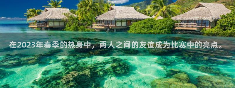 杏悦2包怎么样