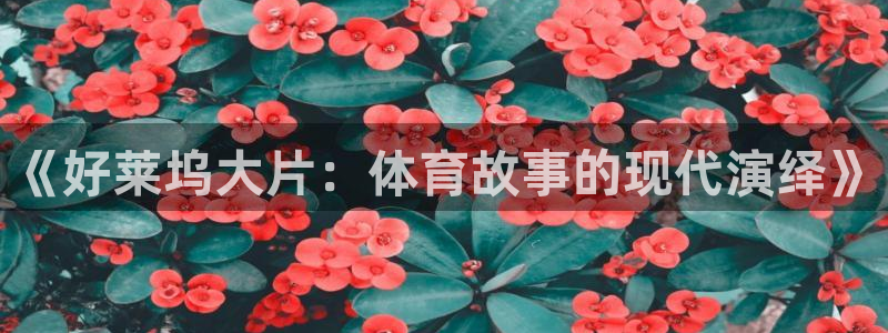 杏悦2体育官网入口登录