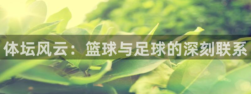 杏悦2体育3