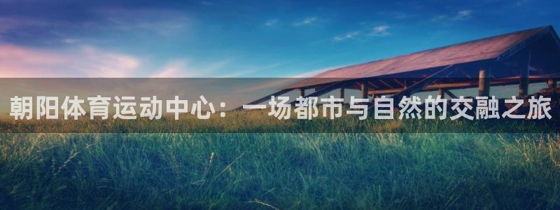 杏悦24平台