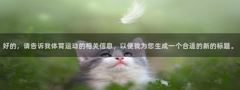 杏悦2平台招商