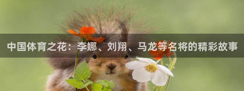 杏悦2集团股票