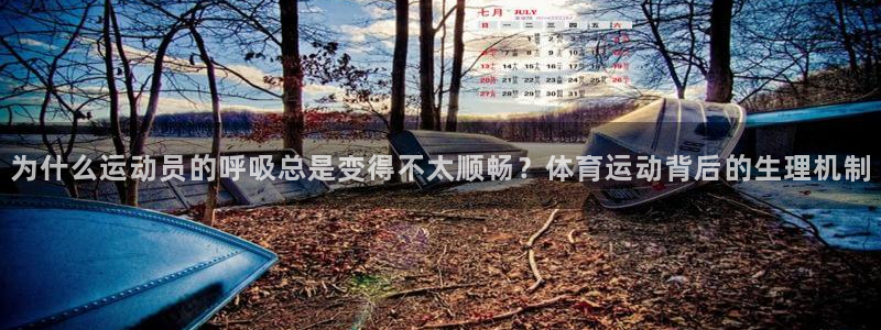 杏悦2体育老板是谁