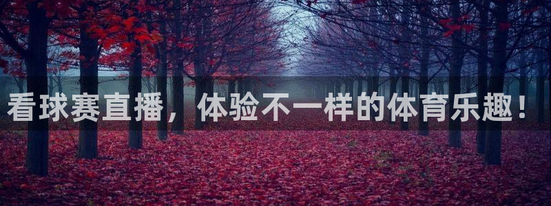 杏悦22注册