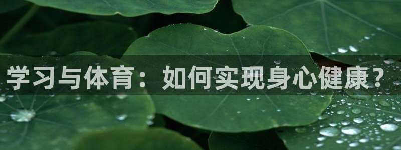 杏悦23官网
