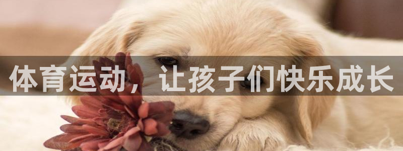 杏悦22官网