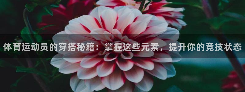 杏悦22平台登录