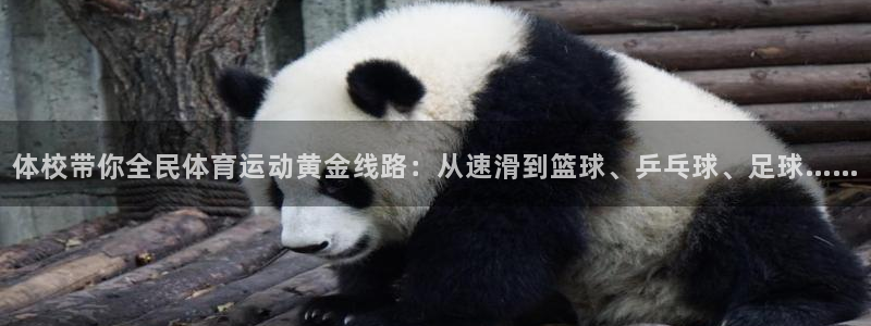 杏悦2电子有限公司