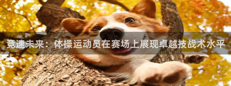 杏悦2体育凯捷平台主管