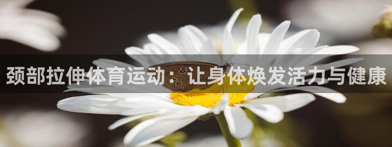 杏悦2集团总部