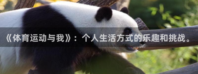 杏悦2体育游戏
